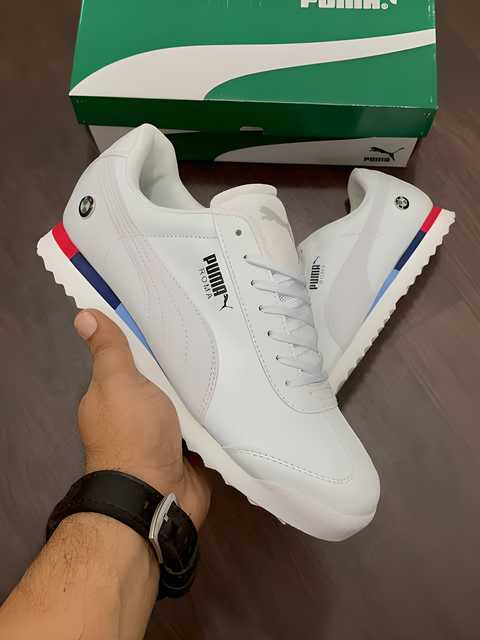 Daily Wear Casual Shoes