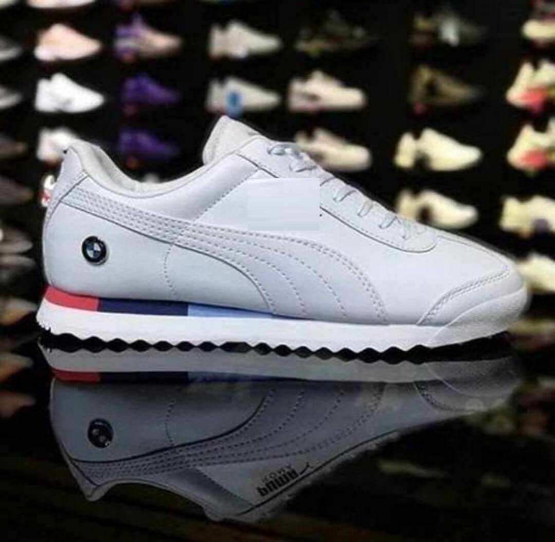 Daily Wear Casual Shoes